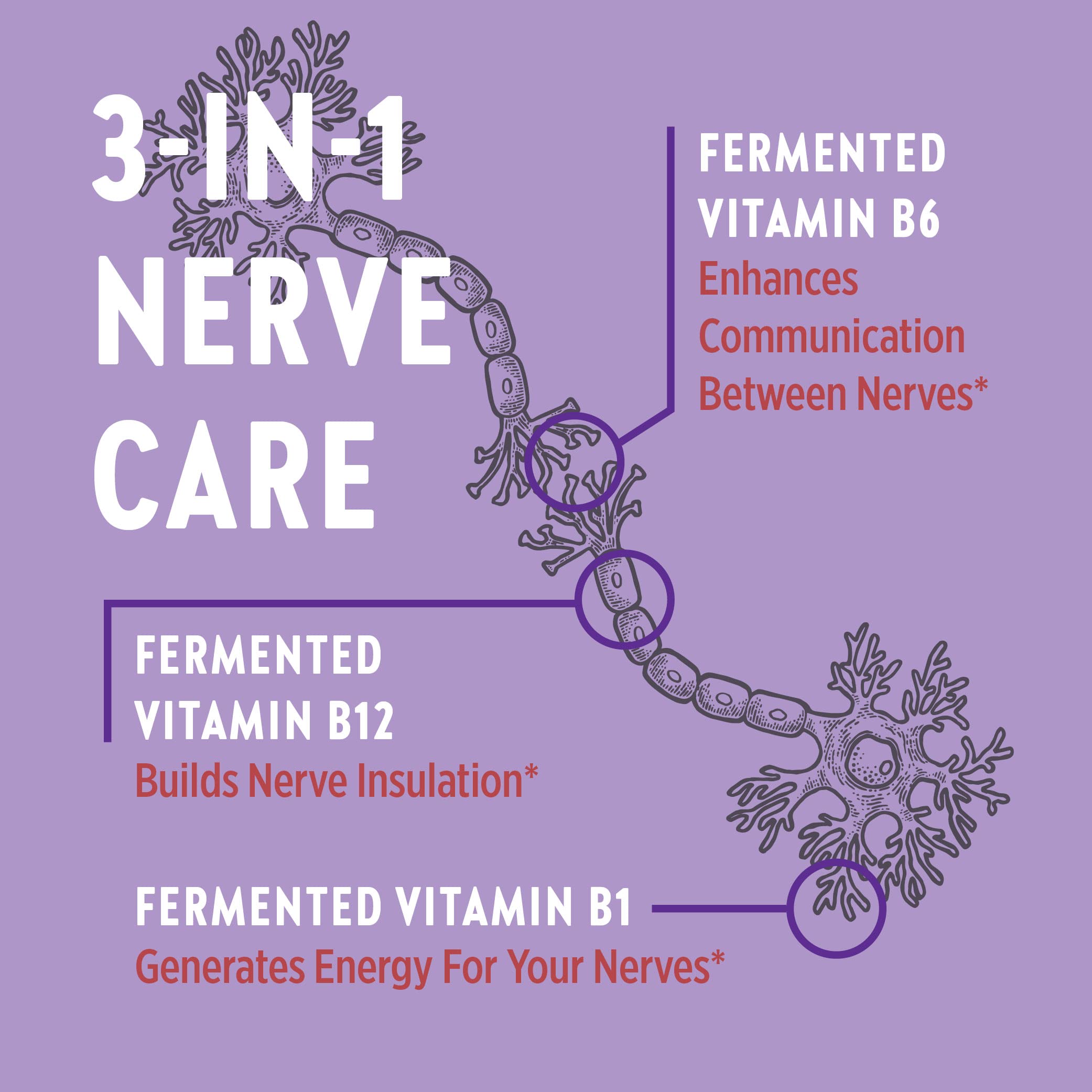 Foto 4 pulgar | Suplemento New Chapter Nerve Health 3 En 1, 30 Unidades - Venta Internacional.