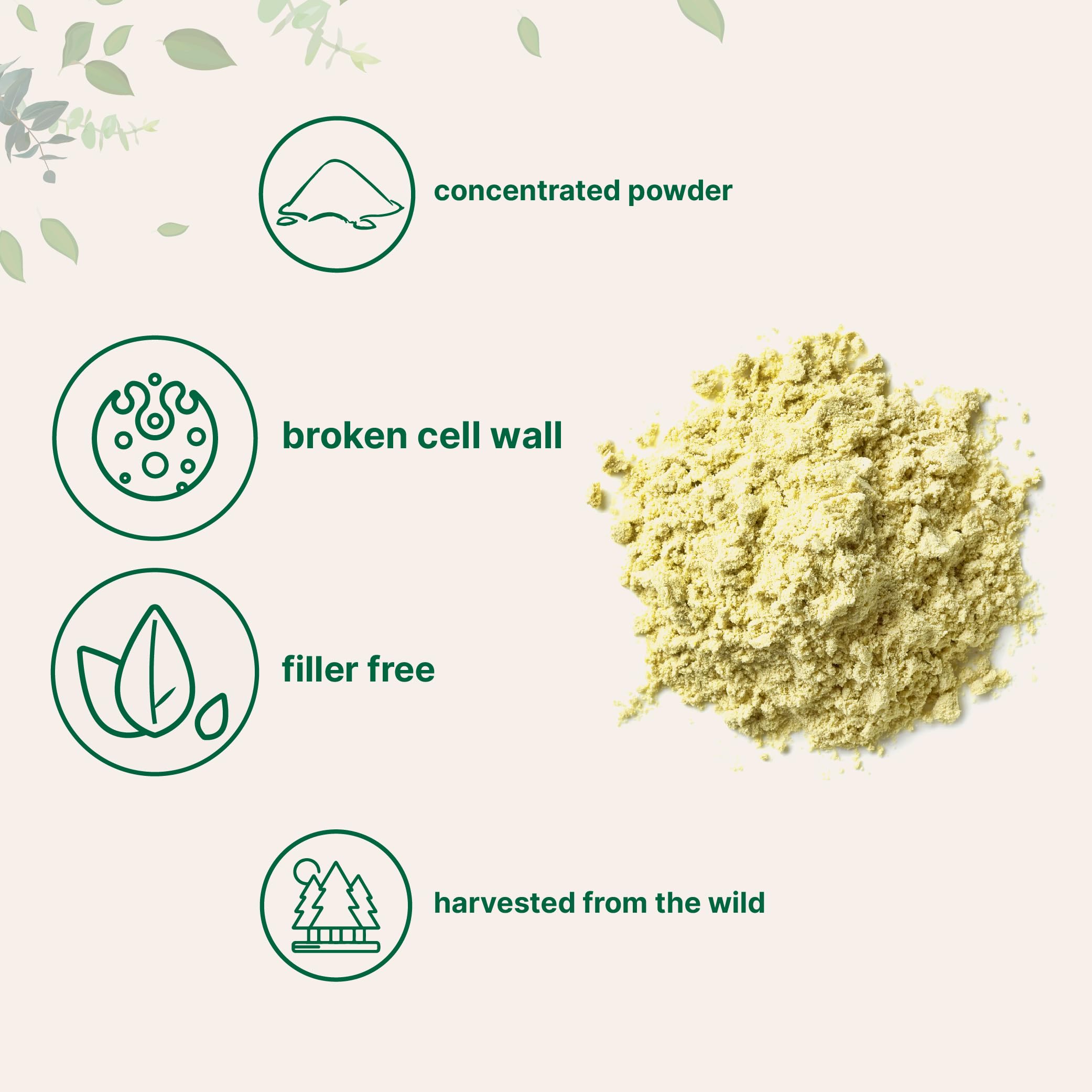 Foto 4 pulgar | Microingredientes De Polen De Pino En Polvo, 180 Ml, Que Ayudan Al Sistema Inmunitario - Venta Internacional.