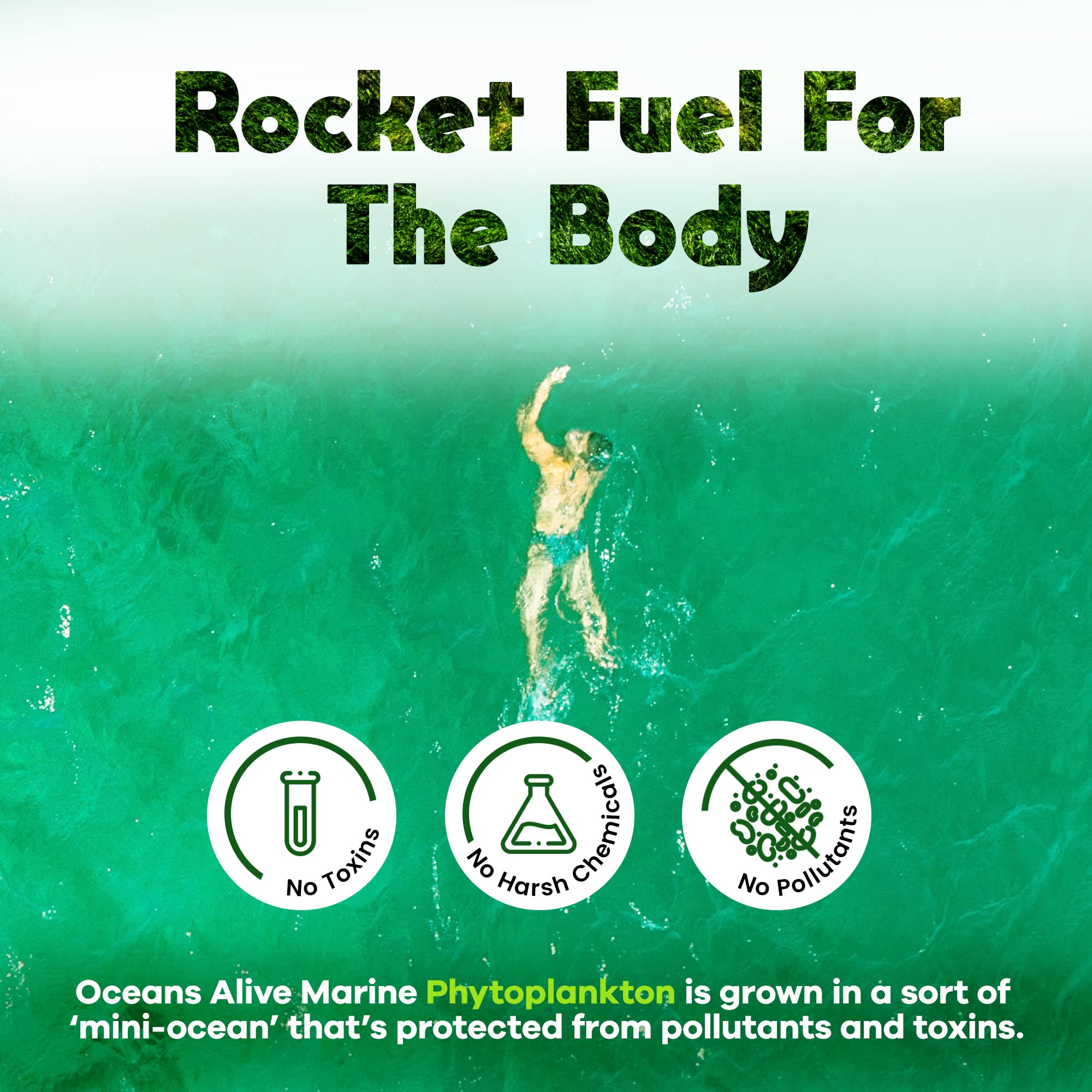 Foto 4 | Productos De Activación De Suplementos Oceans Alive Marine Phytoplan - Venta Internacional.