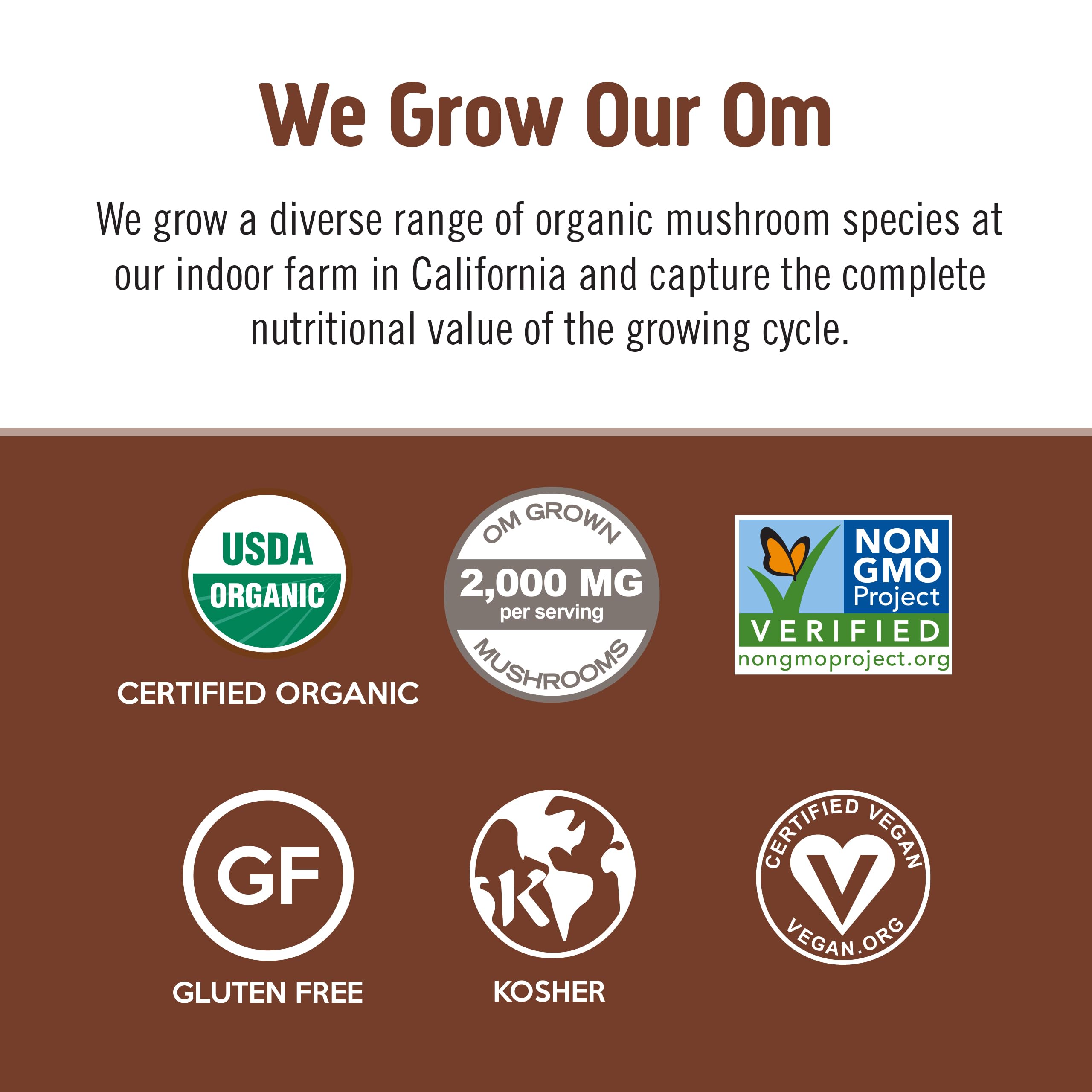 Foto 5 pulgar | Mezcla De Café Superfood Om Mushroom 175 Ml Con Hongos En Polvo - Venta Internacional.