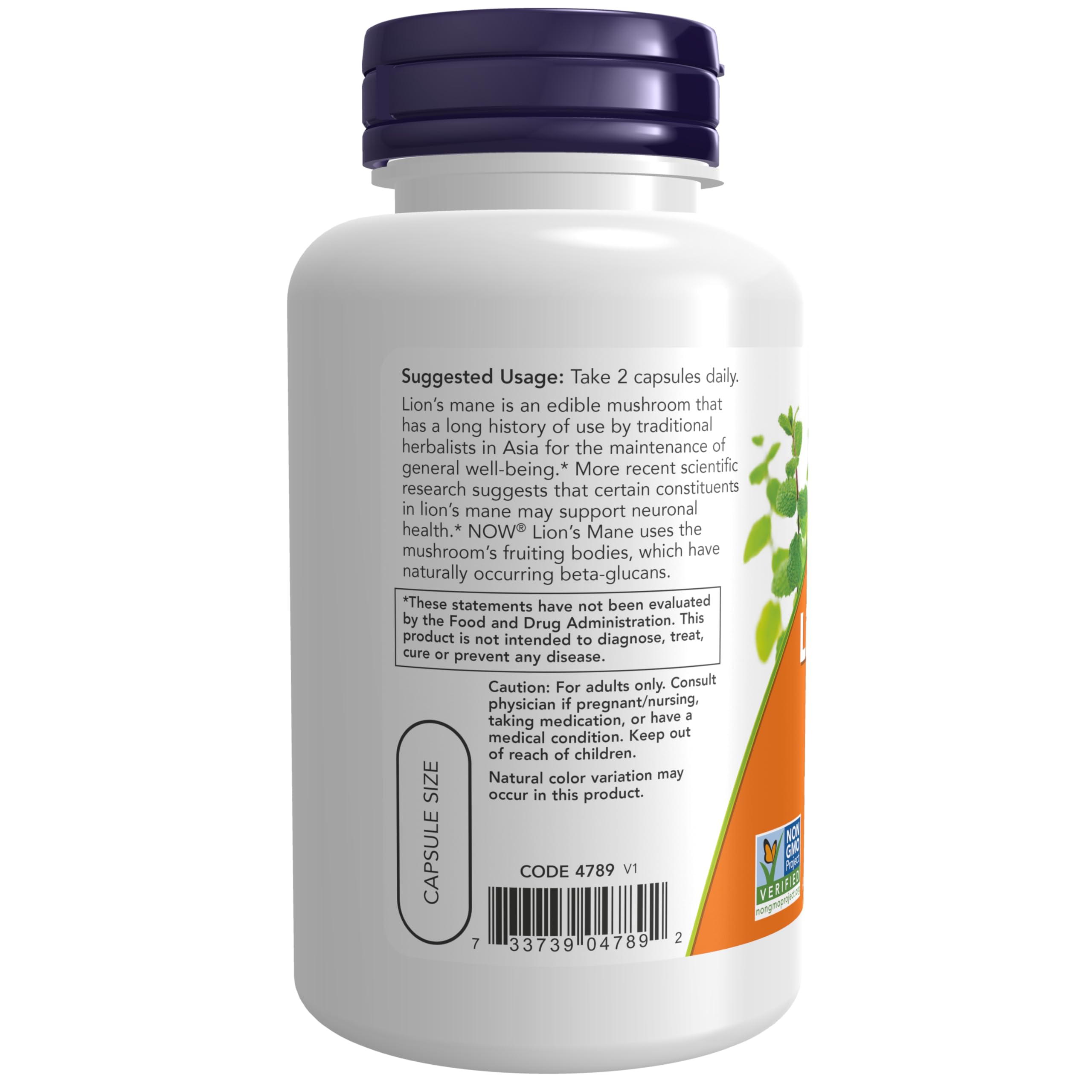 Foto 4 pulgar | Suplemento Now Foods Lion's Mane, 500 Mg, 60 Cápsulas Vegetarianas - Venta Internacional.