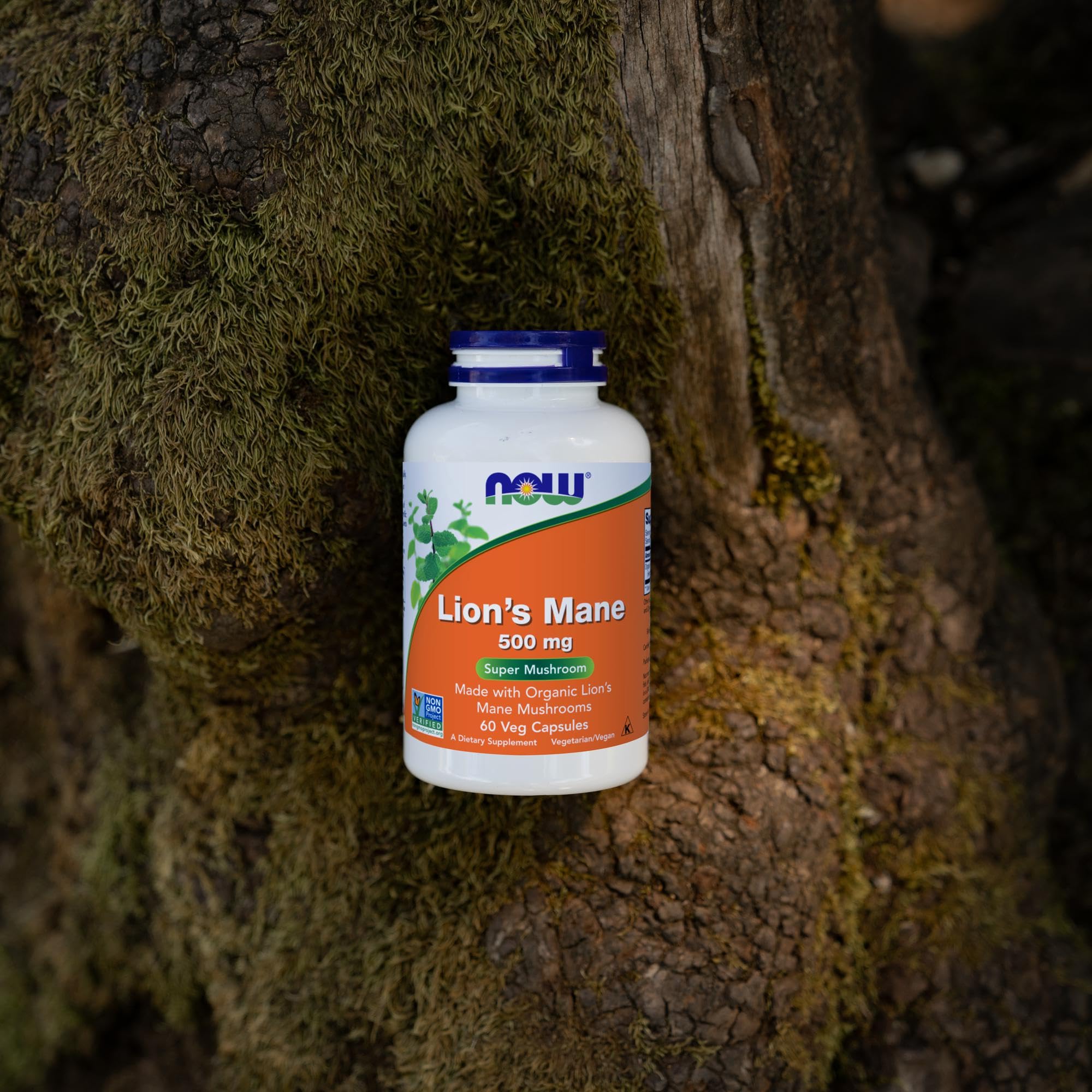 Foto 6 pulgar | Suplemento Now Foods Lion's Mane, 500 Mg, 60 Cápsulas Vegetarianas - Venta Internacional.