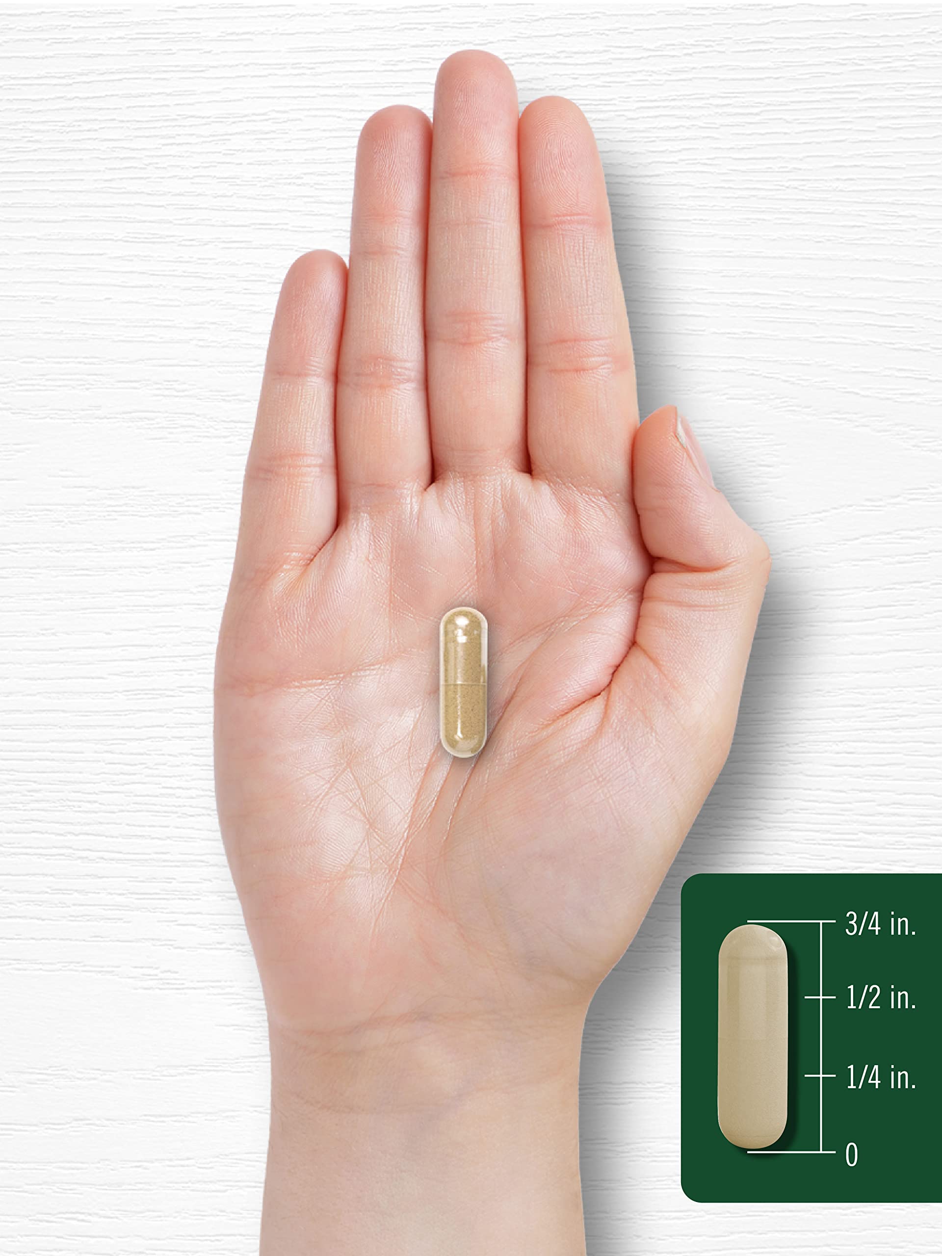 Foto 7 | Suplemento De Extracto De Hoja De Ortiga De Carlyle, 2000 Mg, 300 Cápsulas - Venta Internacional.