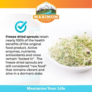 Foto 5 | Suplemento Maximum Living Vita-sprout Whole-food 120 Cápsulas - Venta Internacional.