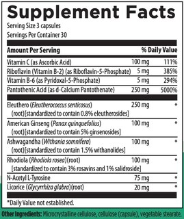 Foto 2 | Suplemento Rootcology Adrenal Support Con Vitamina B6 90 Cápsulas - Venta Internacional.