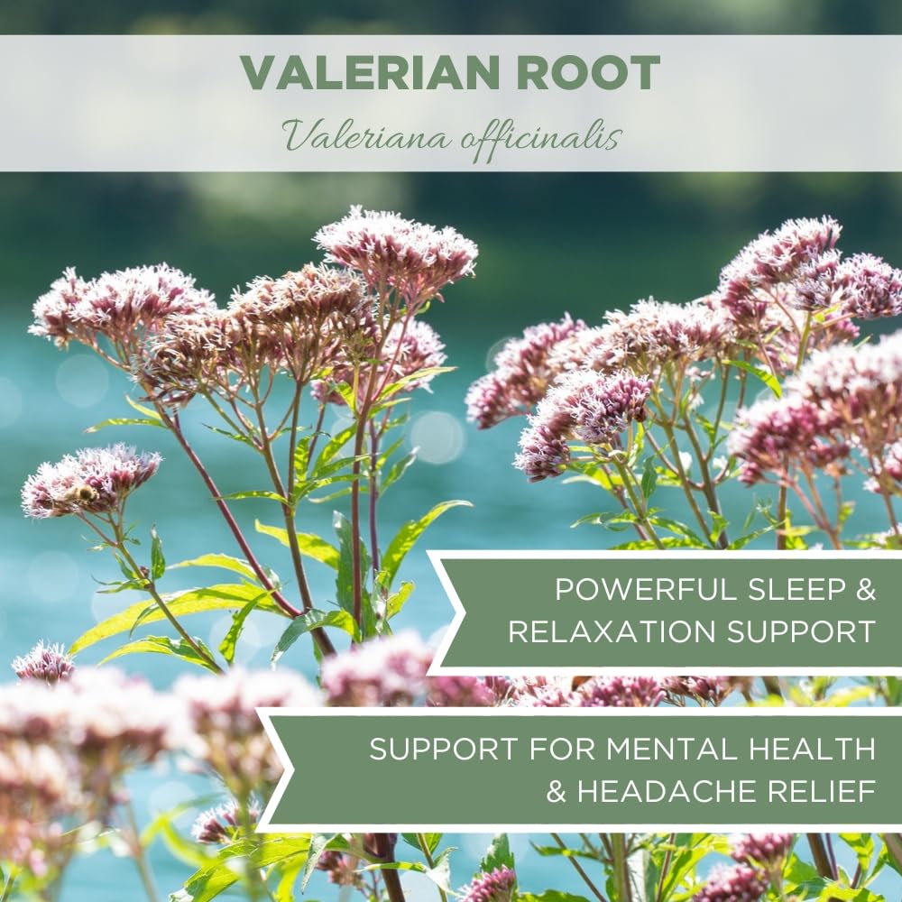 Foto 7 pulgar | Hierba, Raíz De Valeriana, Elanen Naturals, Orgánica, 113 G - Venta Internacional.