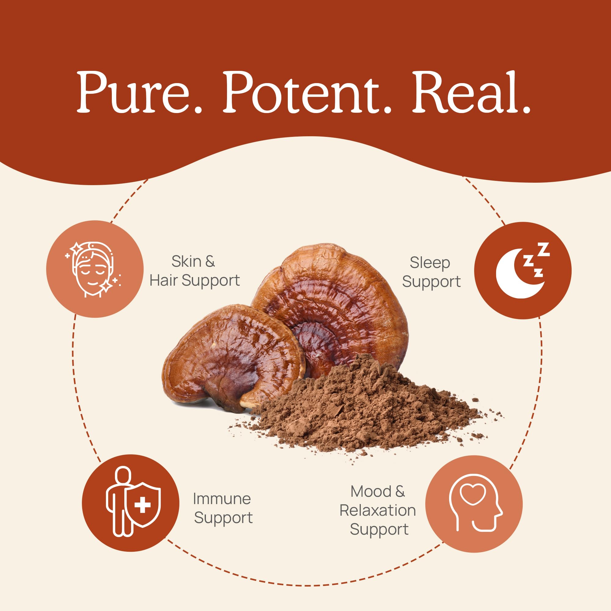 Foto 5 pulgar | Suplemento De Hongos Reales, Cápsulas De Reishi, 200 Cápsulas - Venta Internacional.