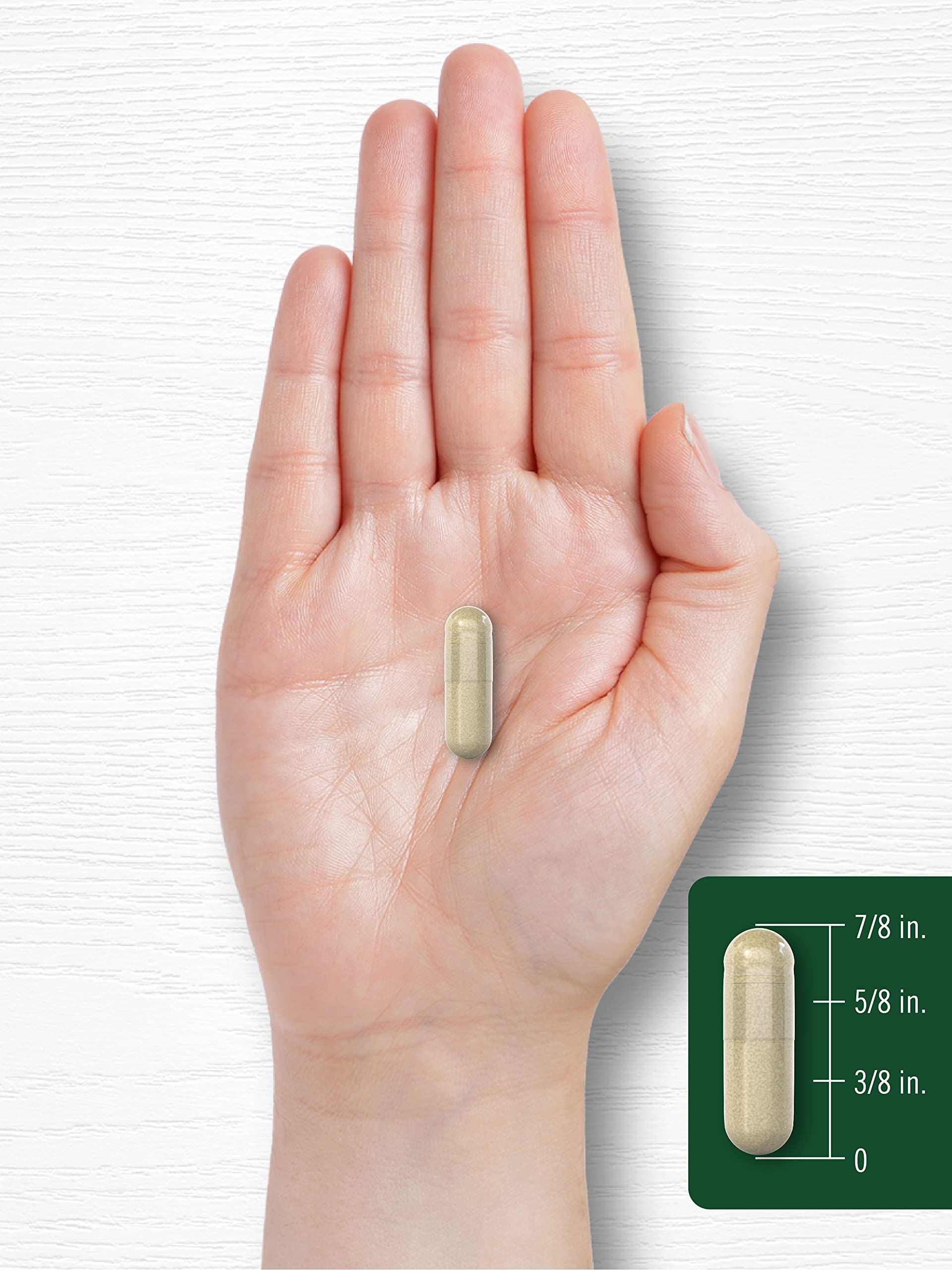 Foto 7 | Suplemento Carlyle Maca Root 4800 Mg 180 Cápsulas - Venta Internacional.