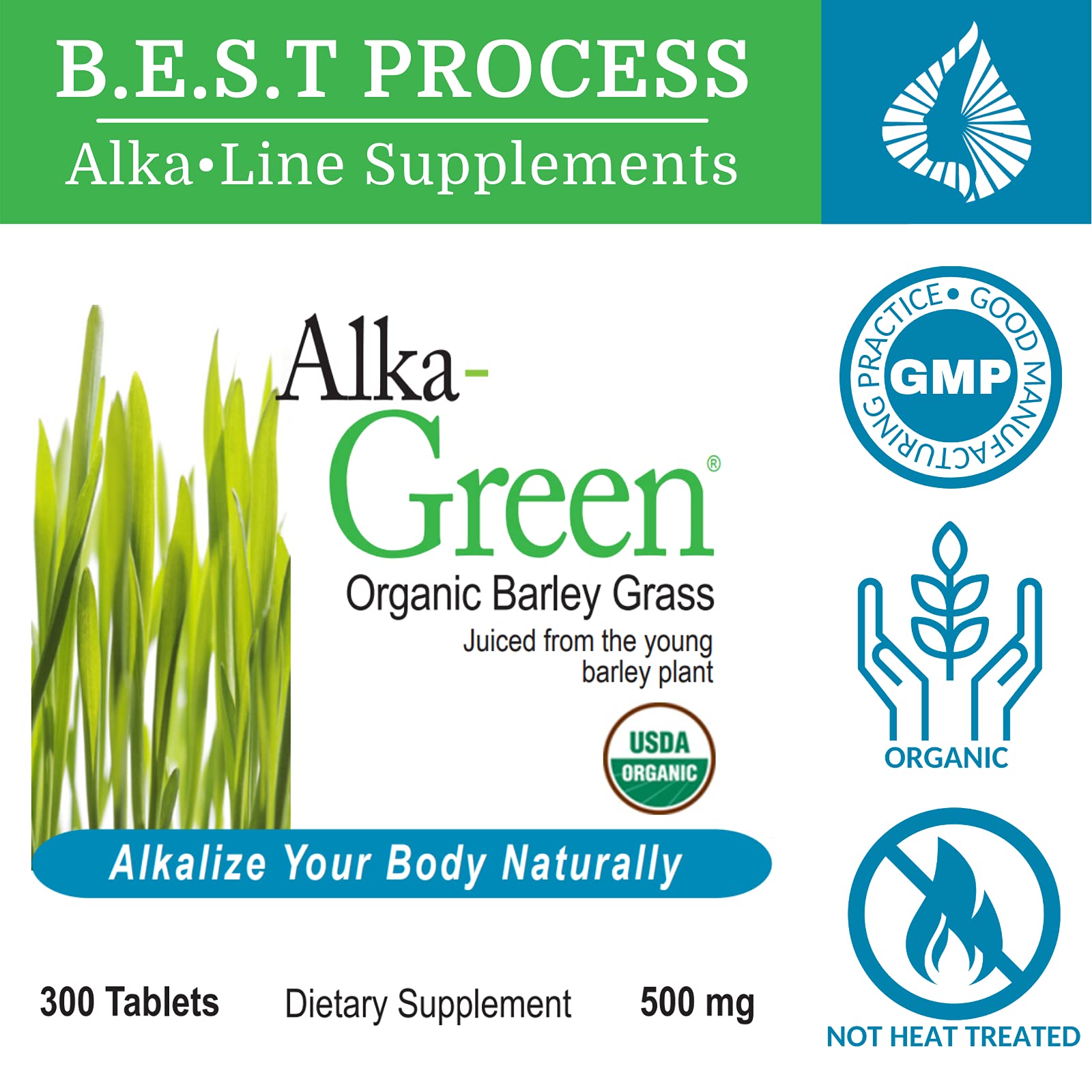 Foto 3 pulgar | Suplemento Morter Healthsystem Alka green Tablets - Venta Internacional.