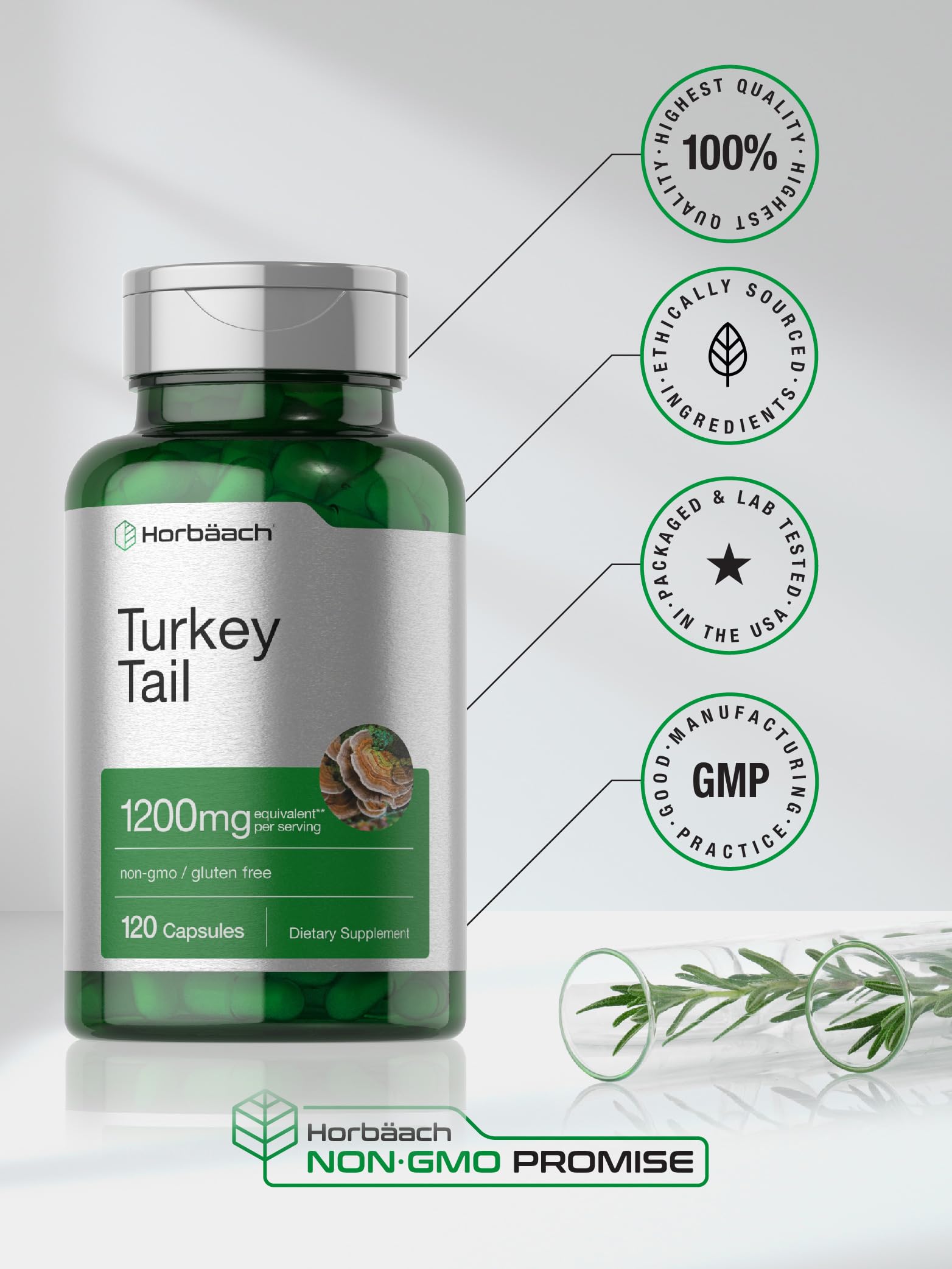 Foto 7 pulgar | Suplemento Horbaach, Cola De Pavo, Hongos, 1200 Mg, 120 Cápsulas - Venta Internacional.