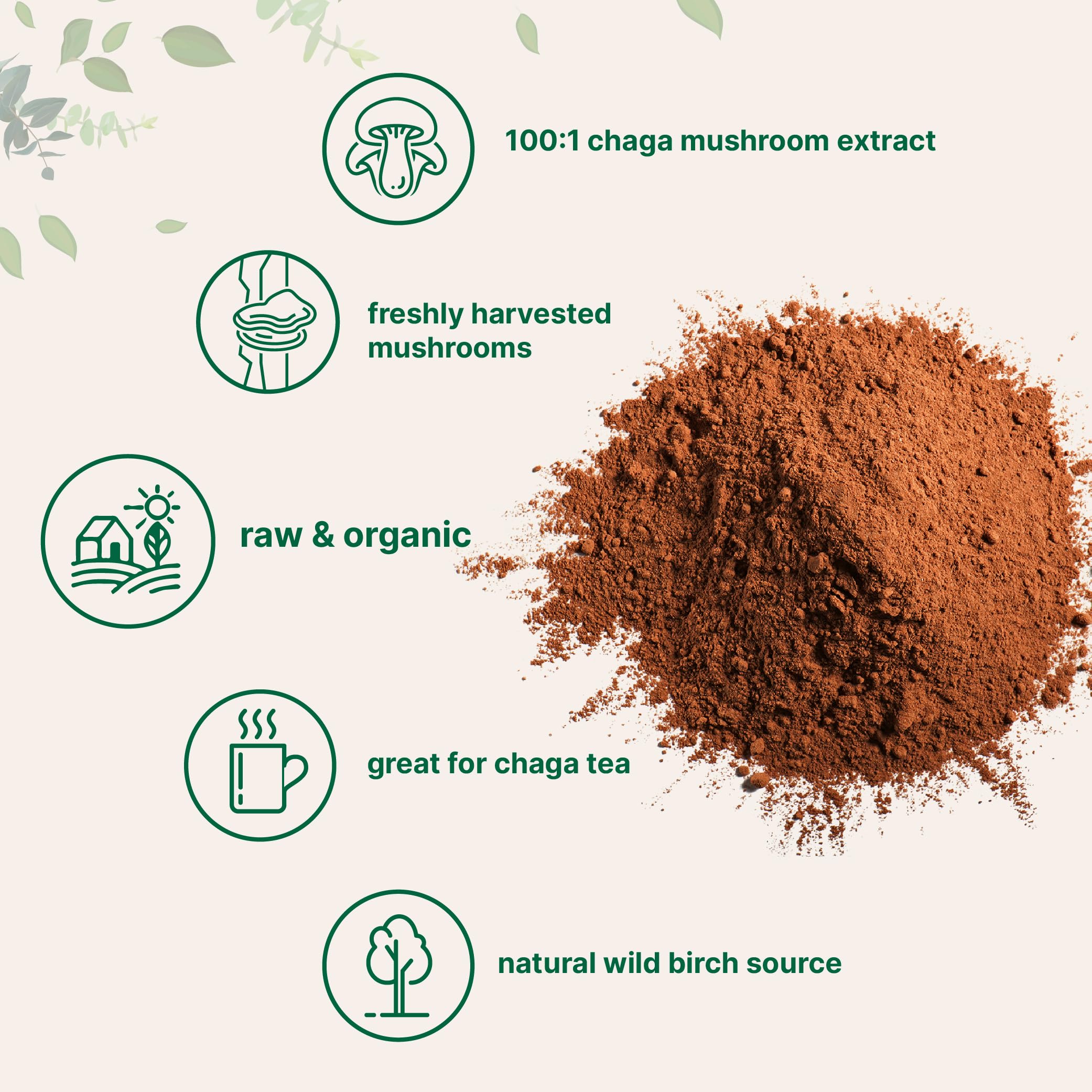 Foto 4 pulgar | Suplemento De Microingredientes: Extracto Orgánico De Hongos Chaga - Venta Internacional.