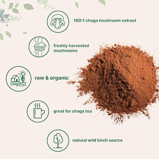 Foto 3 | Suplemento De Microingredientes: Extracto Orgánico De Hongos Chaga - Venta Internacional.