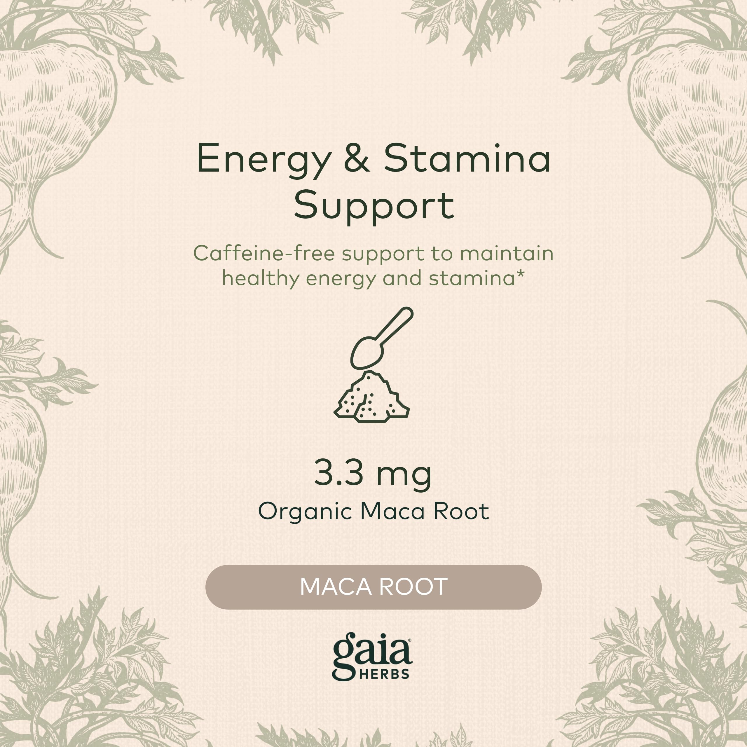 Foto 4 pulgar | Suplemento Gaia Herbs Maca En Polvo Natural Energy 200 Ml - Venta Internacional.