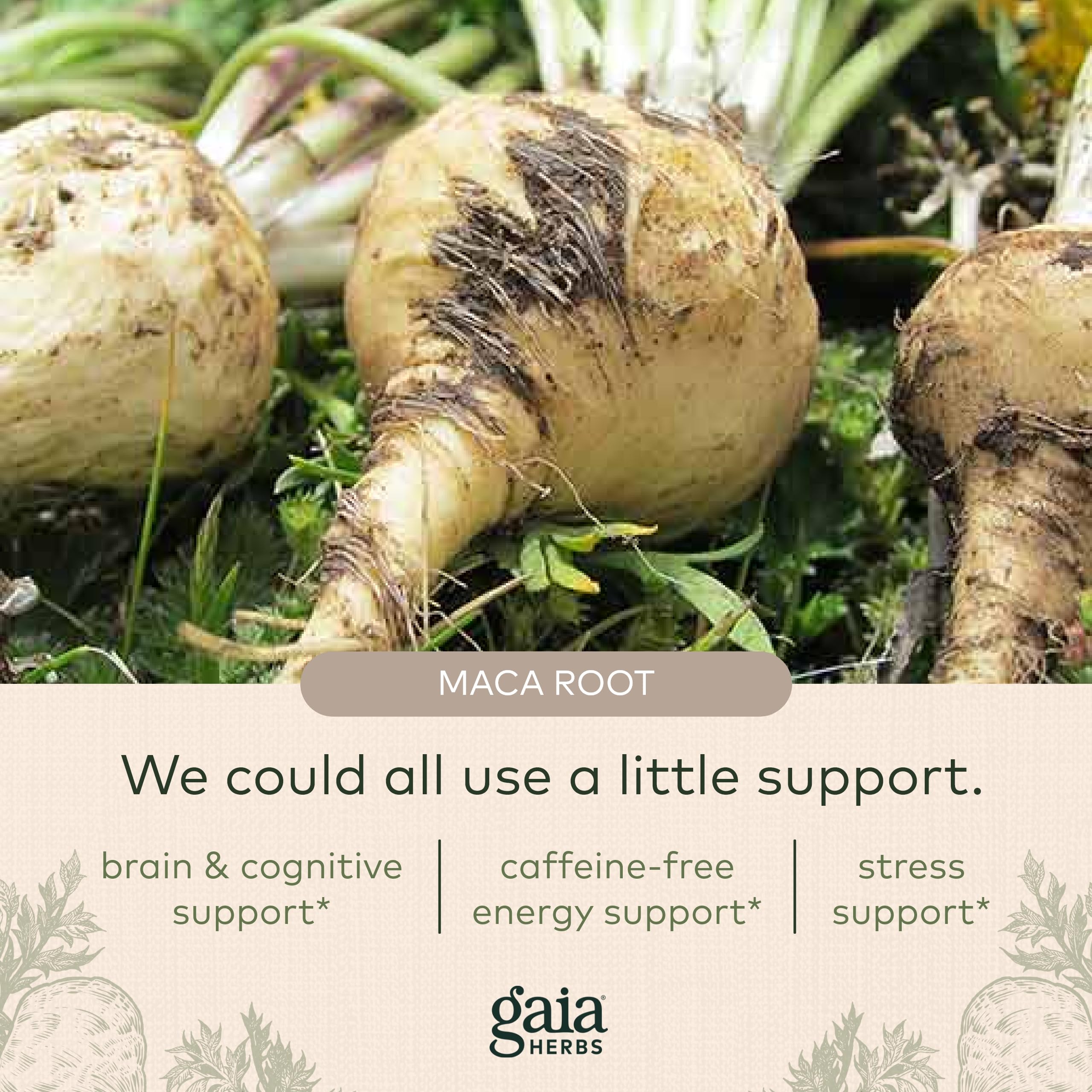 Foto 6 pulgar | Suplemento Gaia Herbs Maca En Polvo Natural Energy 200 Ml - Venta Internacional.