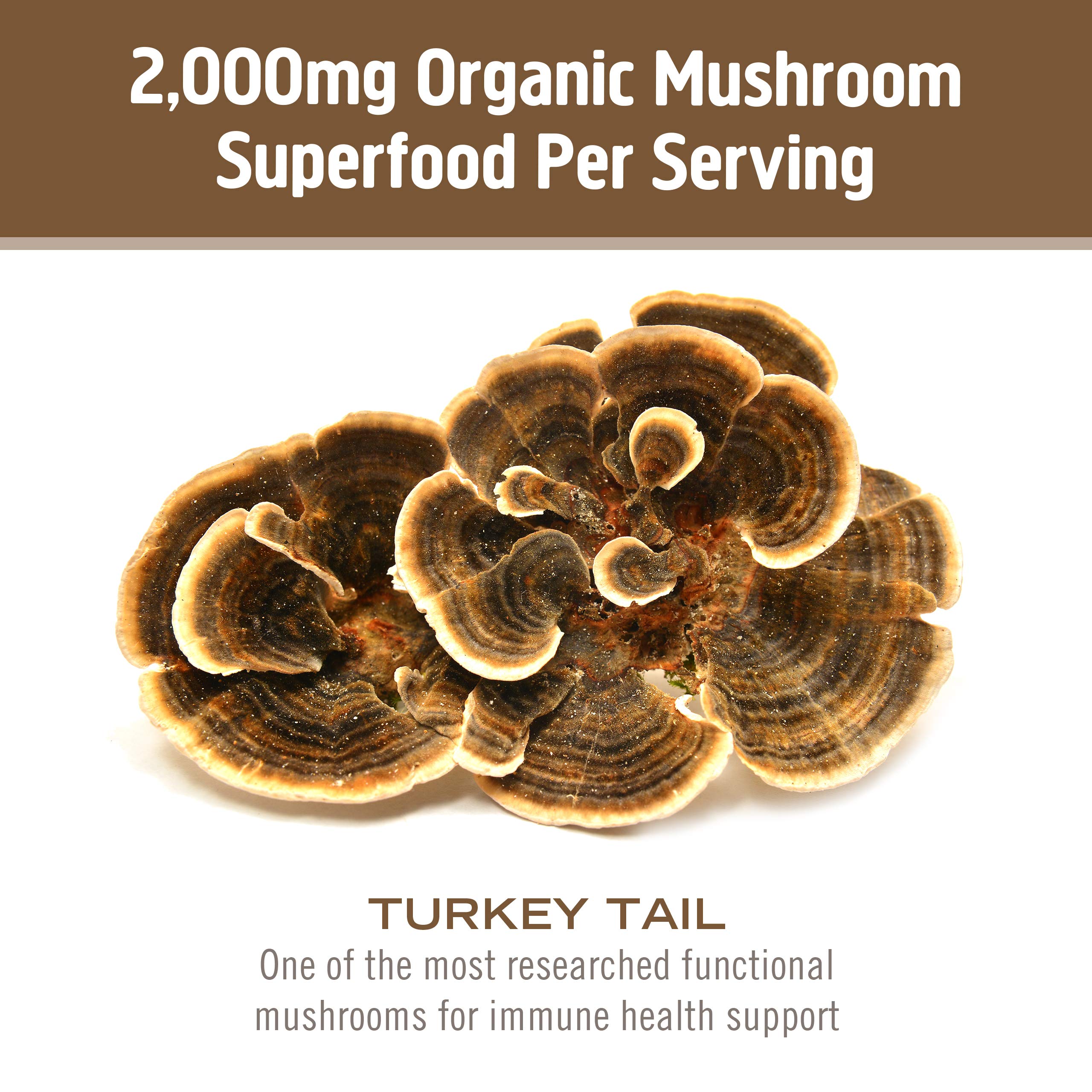 Foto 7 pulgar | Suplemento Om Mushroom Superfood, Cola De Pavo, 100 G - Venta Internacional.