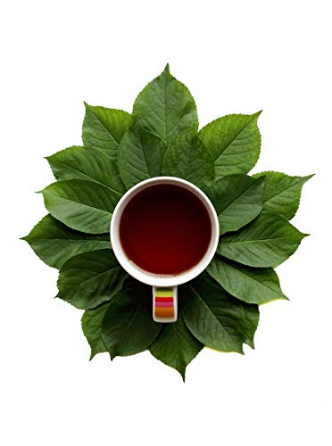 Foto 4 | Suplemento De Extracto Orgánico De Suan Zao Ren De Dimmak Herbs, 112 G - Venta Internacional.