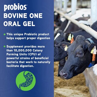 Foto 2 | Gel Oral Probios Bovine One Para Rumiantes, Tubo De 60 Ml - Venta Internacional.