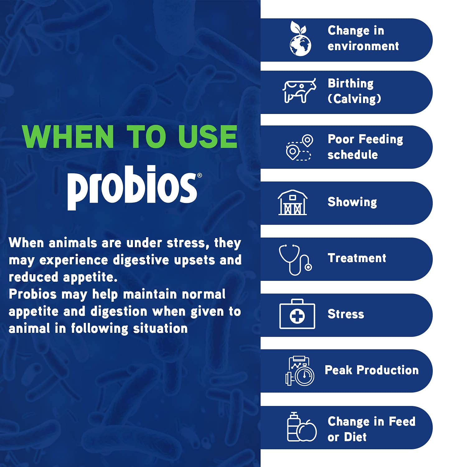 Foto 4 pulgar | Gel Oral Probios Bovine One Para Rumiantes, Tubo De 60 Ml - Venta Internacional.