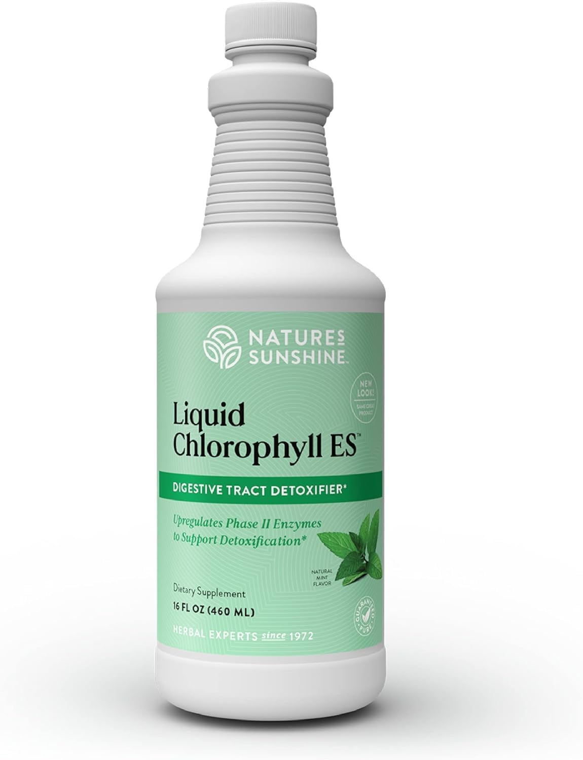Foto 2 pulgar | Suplemento De Clorofila Líquida Nature's Sunshine, 473 Ml - Venta Internacional.