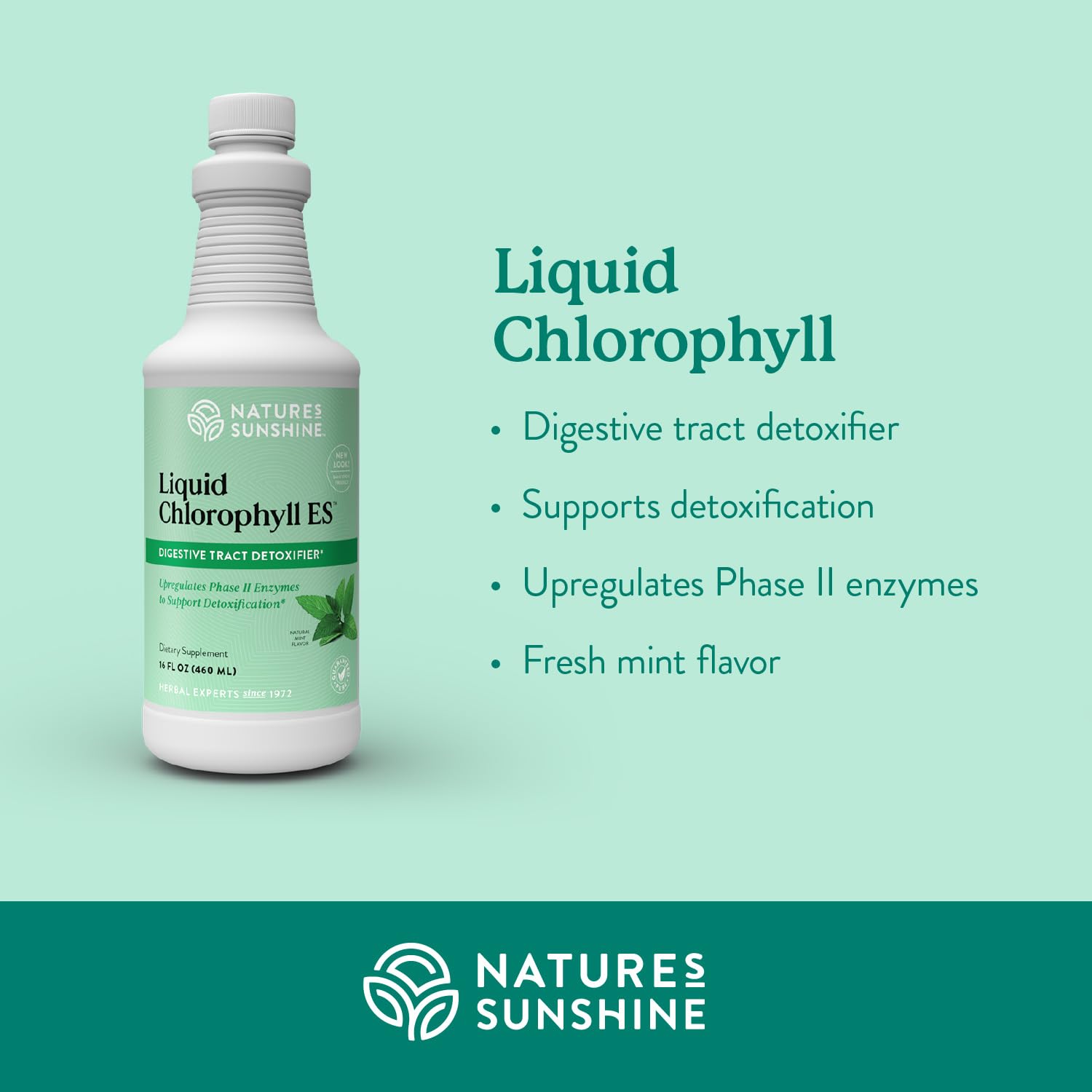 Foto 4 pulgar | Suplemento De Clorofila Líquida Nature's Sunshine, 473 Ml - Venta Internacional.