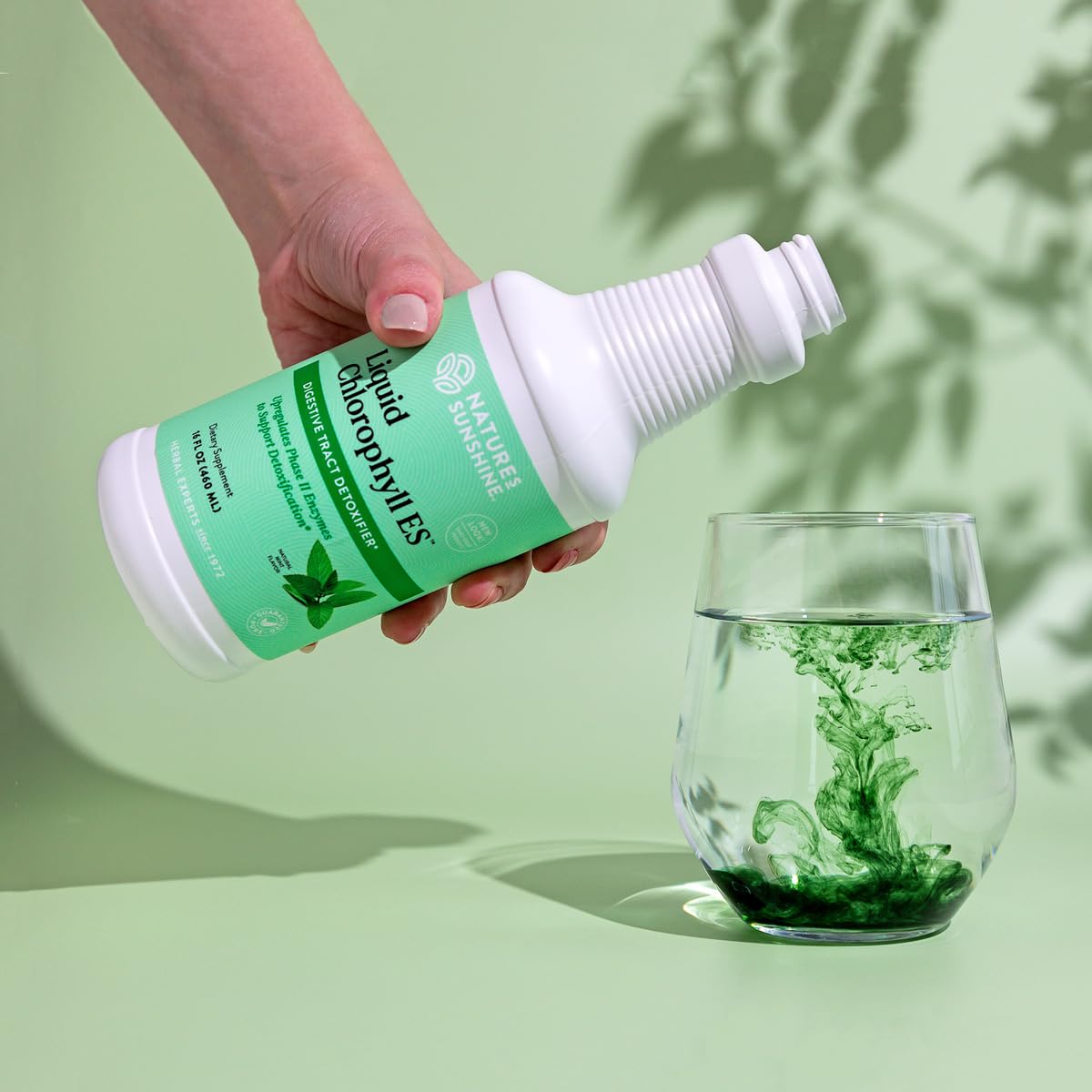 Foto 7 pulgar | Suplemento De Clorofila Líquida Nature's Sunshine, 473 Ml - Venta Internacional.