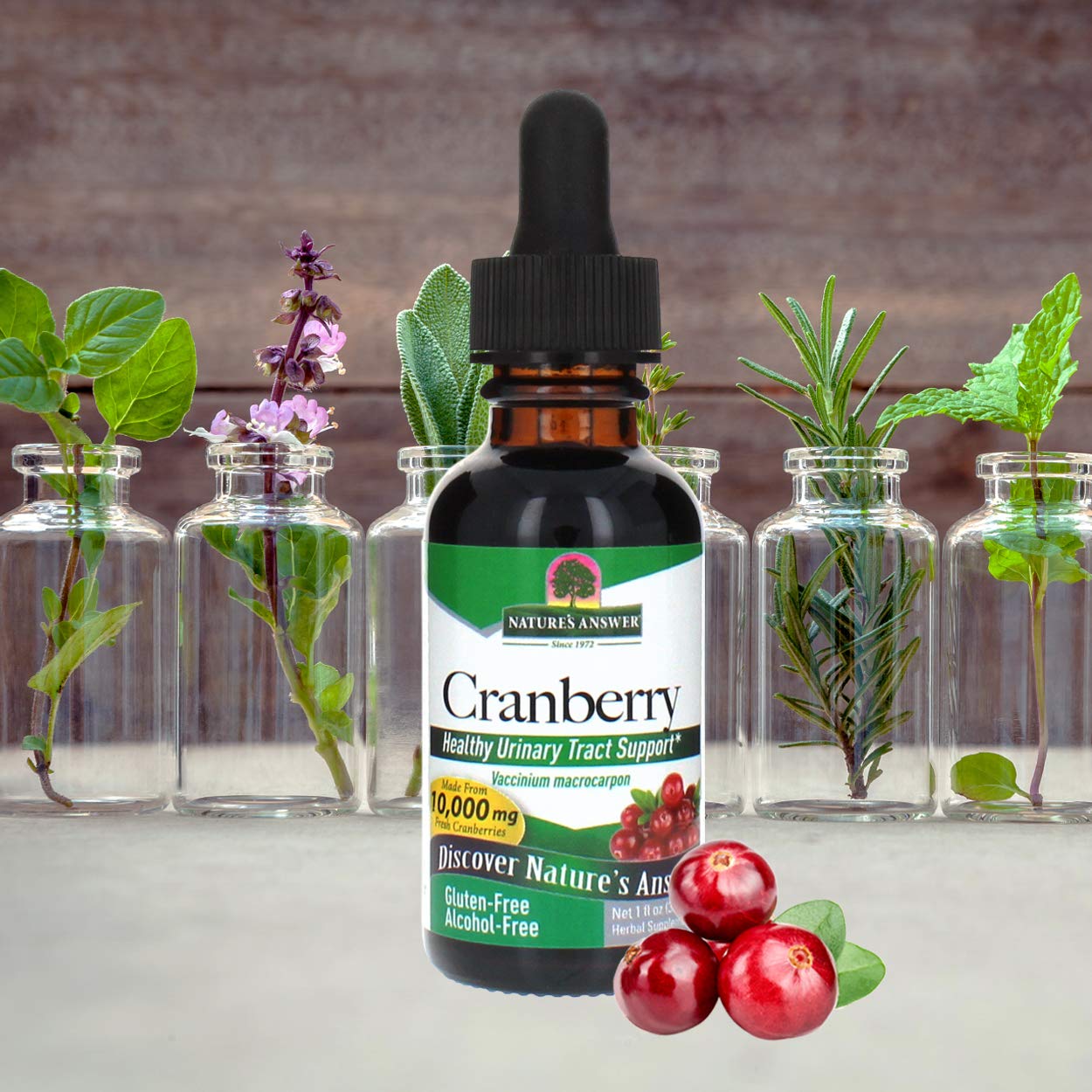 Foto 1 | Suplemento De Extracto De Arándano Nature's Answer, 300 Ml, 10 000 Mg - Venta Internacional.