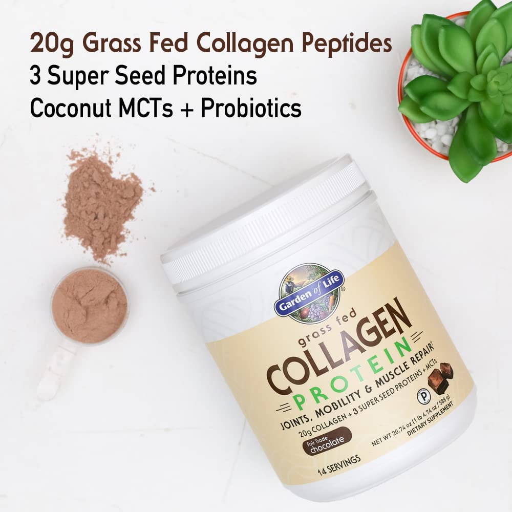 Foto 4 pulgar | Proteína De Colágeno En Polvo Garden Of Life Chocolate 400 G - Venta Internacional.