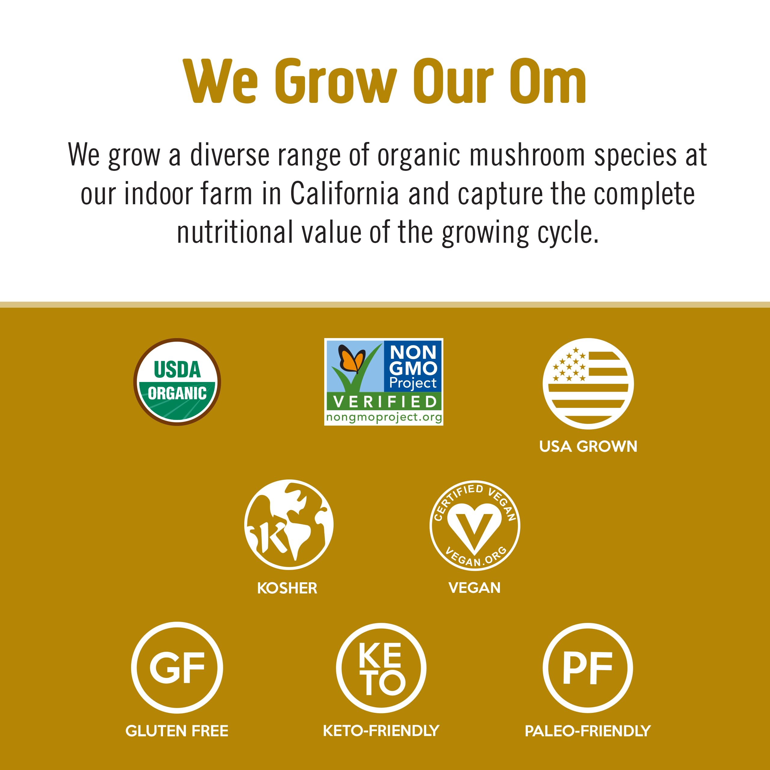 Foto 8 pulgar | Suplemento Om Mushroom Superfood Master Blend 180 Ml - Venta Internacional.
