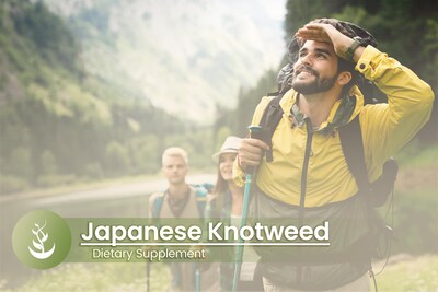 Foto 5 | Suplemento Con Ingredientes Puros Y Originales, Nudillo Japonés, 100 Cápsulas - Venta Internacional.