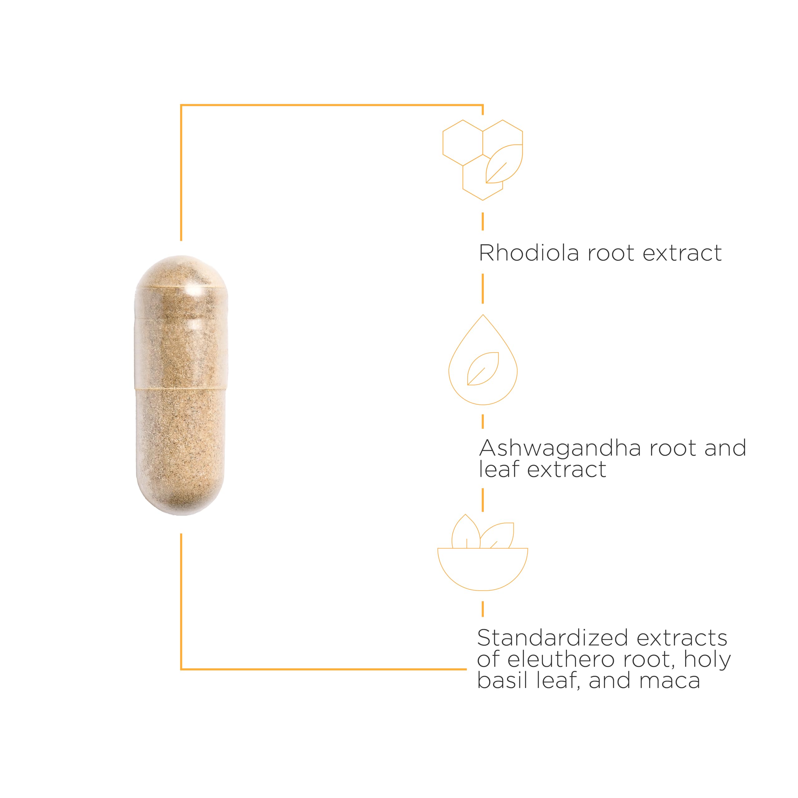 Foto 4 pulgar | Suplemento Integrative Therapeutics Hpa Adapt 120 Cápsulas Veganas - Venta Internacional.