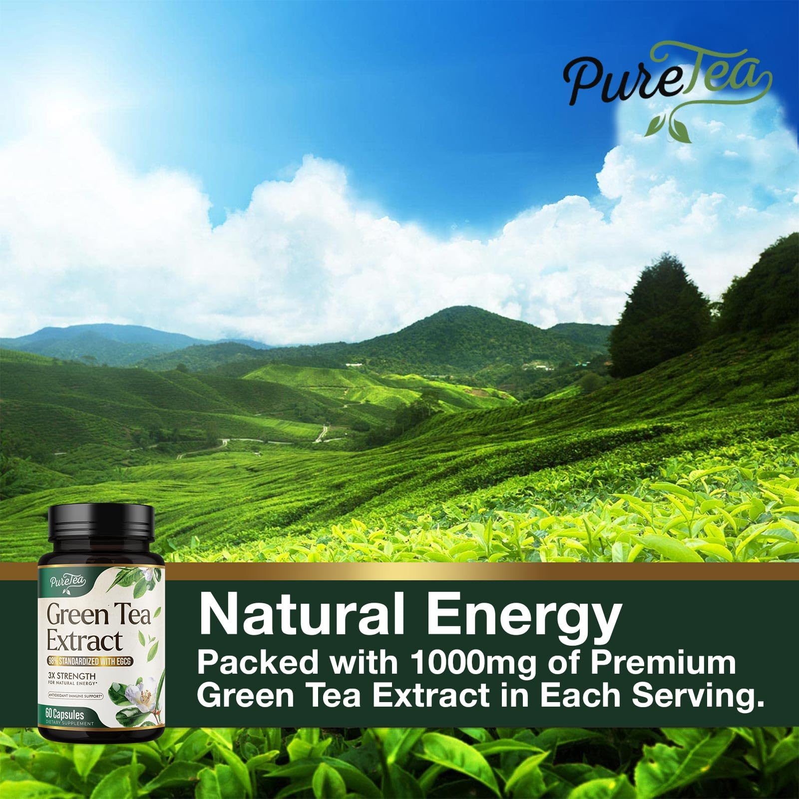 Foto 6 pulgar | Suplemento De Cápsulas De Extracto De Té Verde De 1000 Mg Con 98% De Egcg - Venta Internacional.