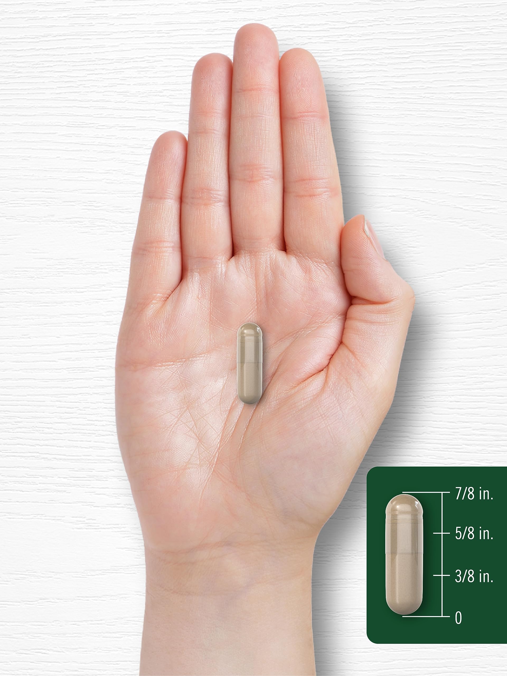 Foto 7 | Suplemento Carlyle Lions Mane, Cápsulas De 4200 Mg, 60 Unidades - Venta Internacional.
