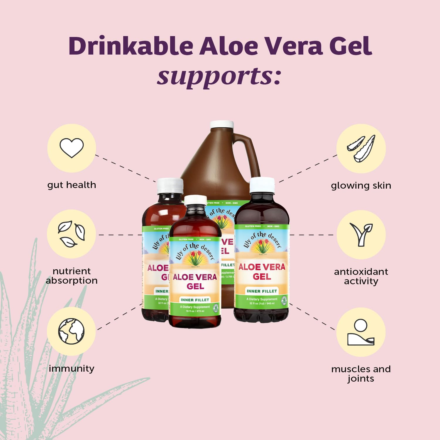 Foto 4 pulgar | Bebida Complementaria En Gel De Aloe Vera Con Forma De Lirio Del Desierto, 946 Ml (x2) - Venta Internacional.