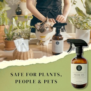 Foto 4 | Kit De Aerosol De Aceite De Neem The Green Alcove, 5 X 100 Ml, Prensado En Frío - Venta Internacional.