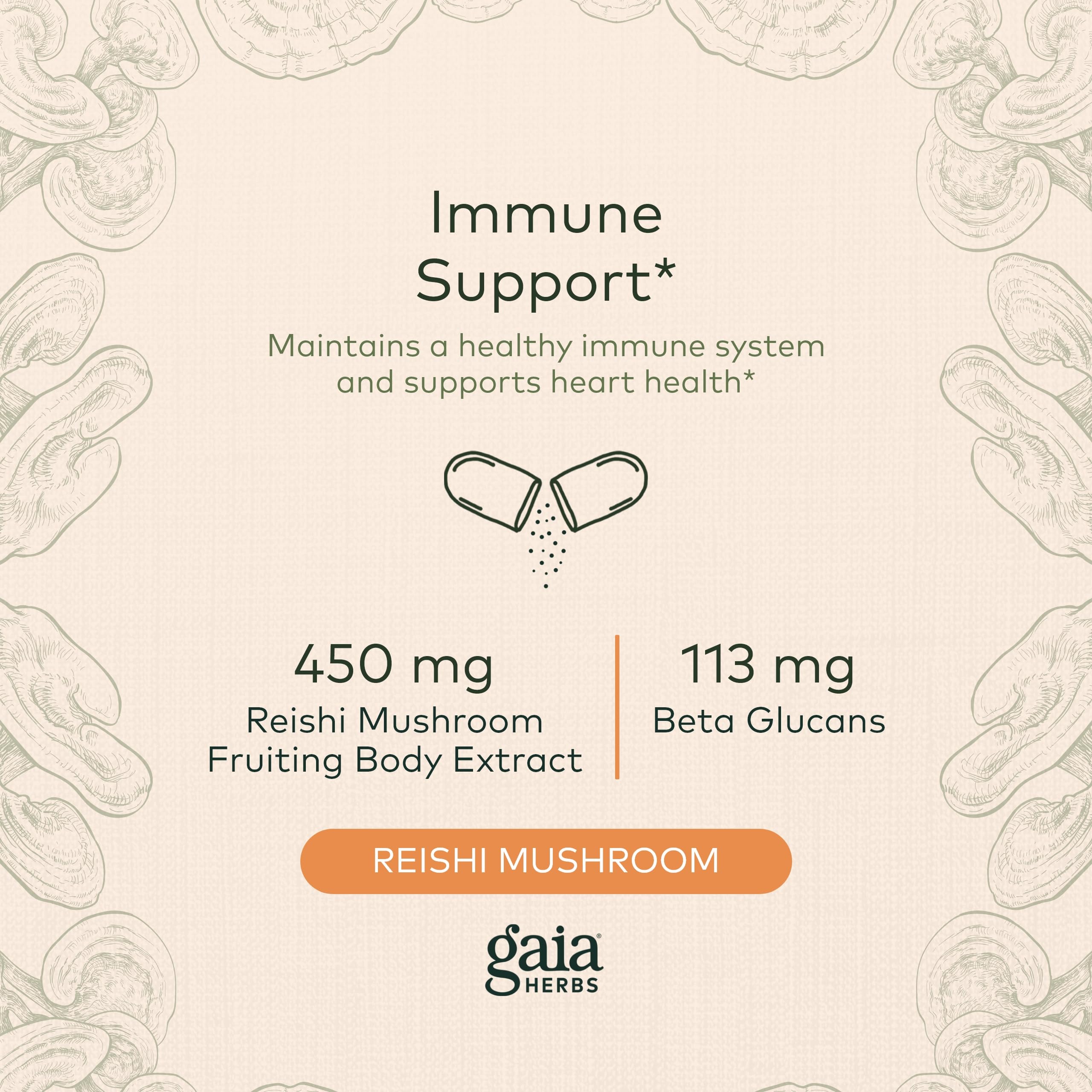 Foto 4 pulgar | Suplemento Gaia Herbs Reishi Mushroom 40 Cápsulas Veganas - Venta Internacional.