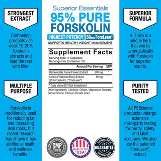 Foto 3 | Suplemento Pescience, Cápsulas De Forskolina, 95% Extracto Puro, 60 Unidades - Venta Internacional.