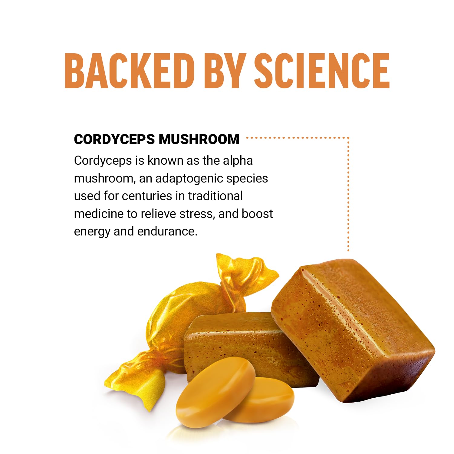 Foto 4 pulgar | Suplemento Force Factor Modern Mushrooms Cordyceps 30 Caramelos Masticables - Venta Internacional.
