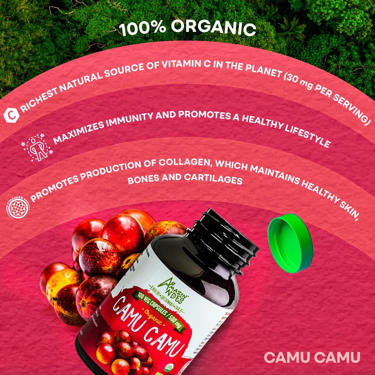 Foto 4 pulgar | Suplemento Amazon Andes Camu Camu Cápsulas De Vitamina C, 100 Cápsulas - Venta Internacional