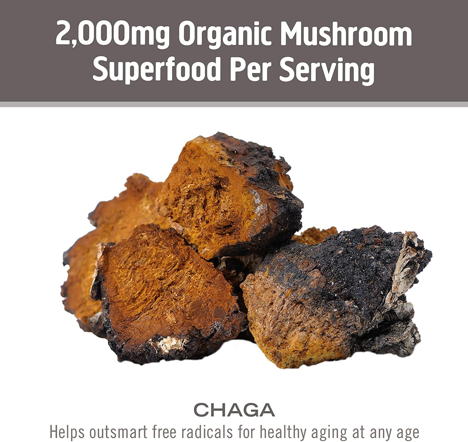 Foto 6 | Suplemento Om Hongos Superfood Chaga 90 Cápsulas - Venta Internacional.