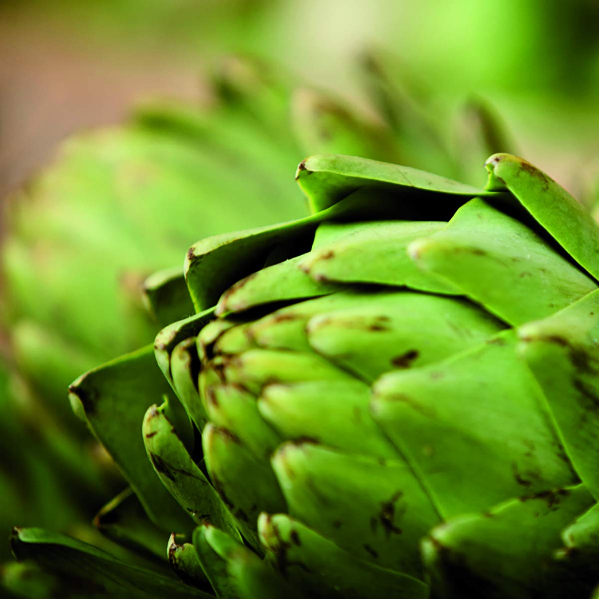 Foto 8 pulgar | Suplemento New Nordic Active Liver Milk Thistle 30 Comprimidos - Venta Internacional.