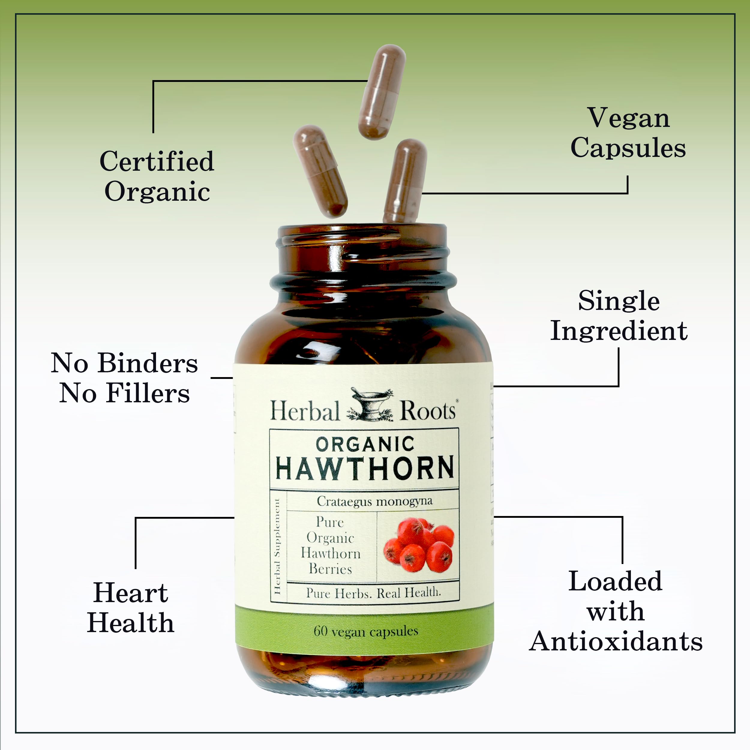 Foto 4 | Suplemento Herbal Roots, Baya De Espino Blanco Orgánica, 1200 Mg, 60 Cápsulas - Venta Internacional.