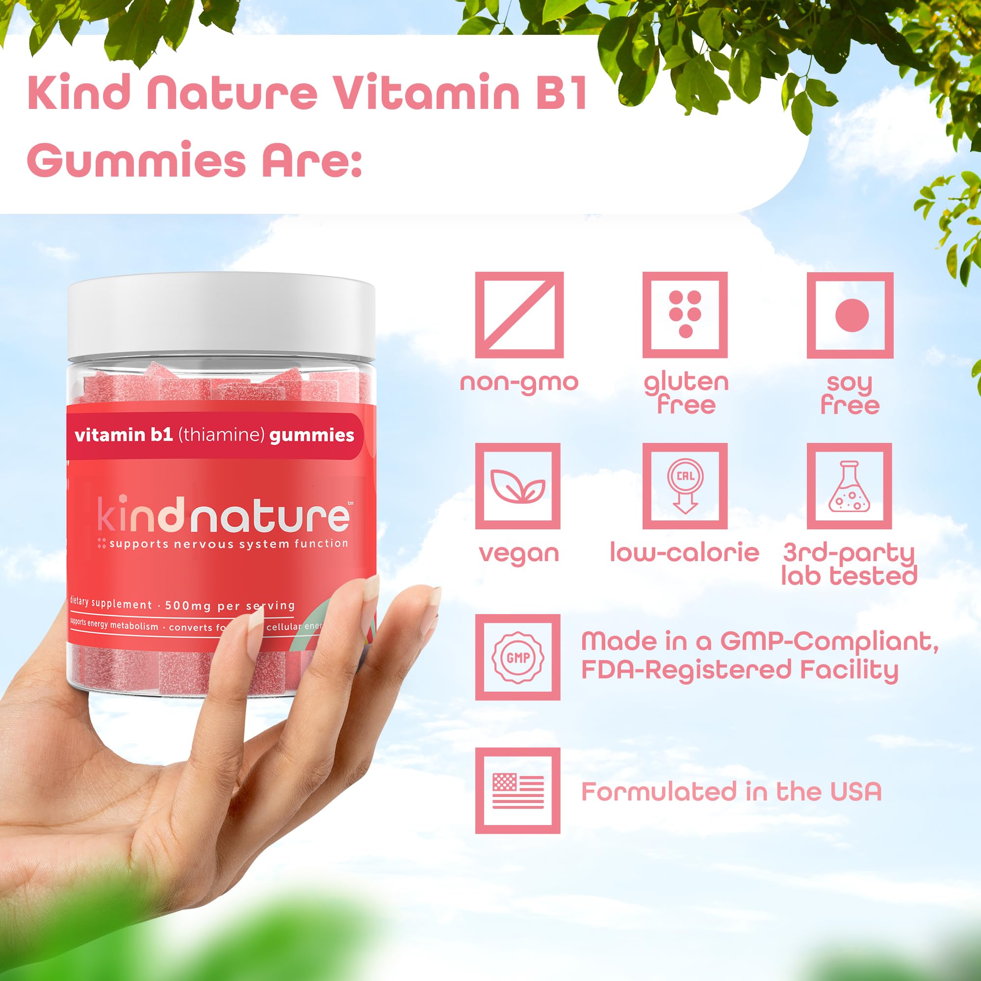 Foto 6 pulgar | Gomitas De Vitamina B1 Supplement Kind Nature 500 Mg - 60 Unidades - Venta Internacional.