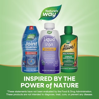 Foto 6 | Suplemento Nature's Way Liquid Iron, 473 Ml, Sin Azúcar - Venta Internacional.