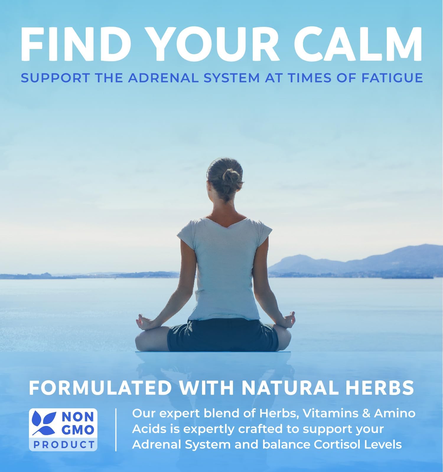 Foto 3 pulgar | Supplement Health Harmony Adrenal System Support 60 Cápsulas - Venta Internacional.