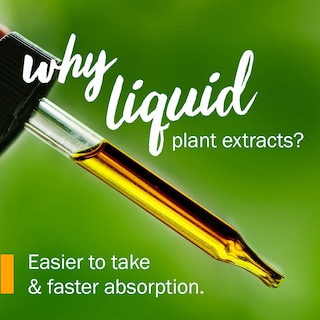 Foto 4 | Extracto Líquido De Bálsamo De Limón Herb Pharm, 30 Ml, Sin Alcohol - Venta Internacional.
