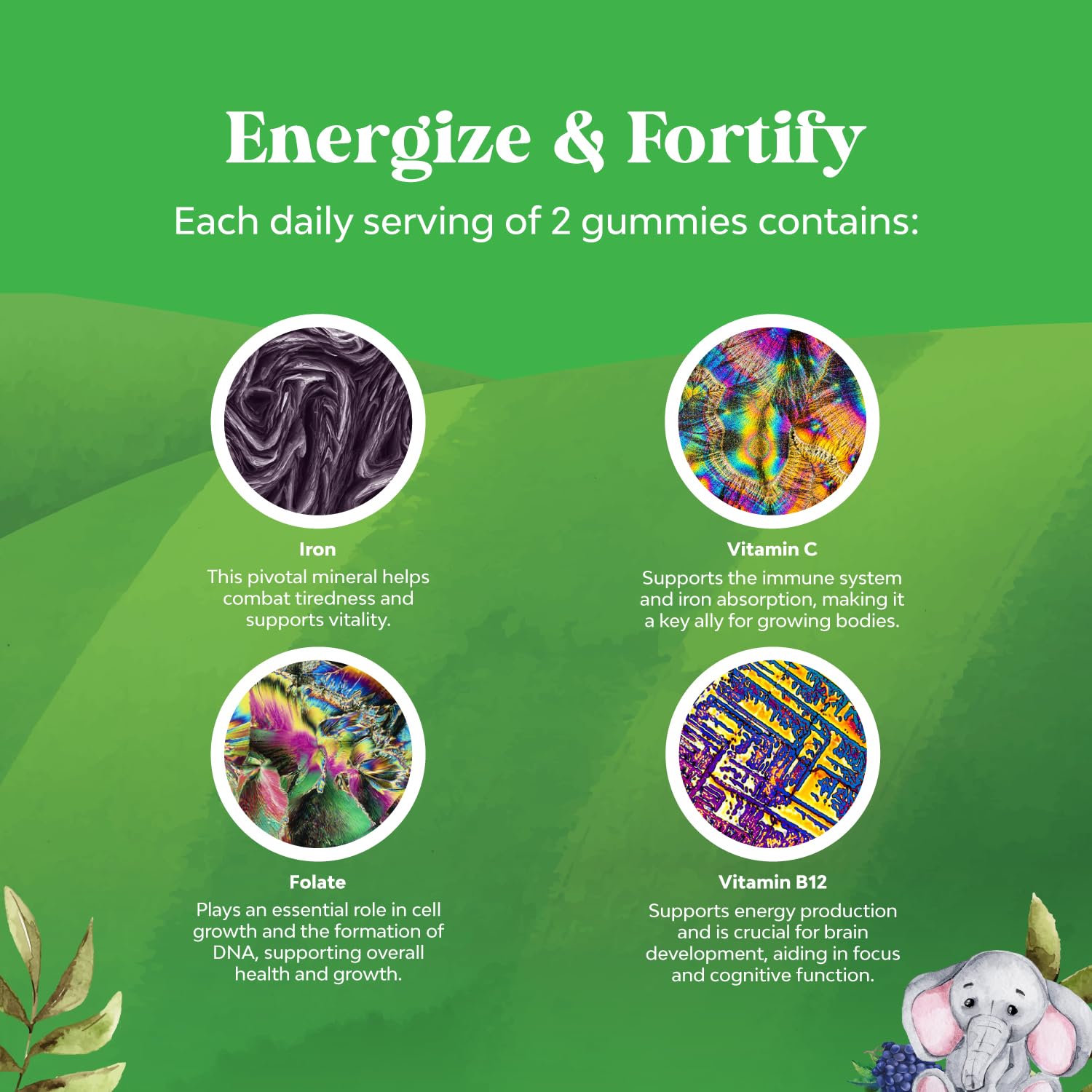 Foto 5 | Suplemento Multivitamínico Natures Craft Tasty Kids Con Gomitas De Hierro - Venta Internacional.