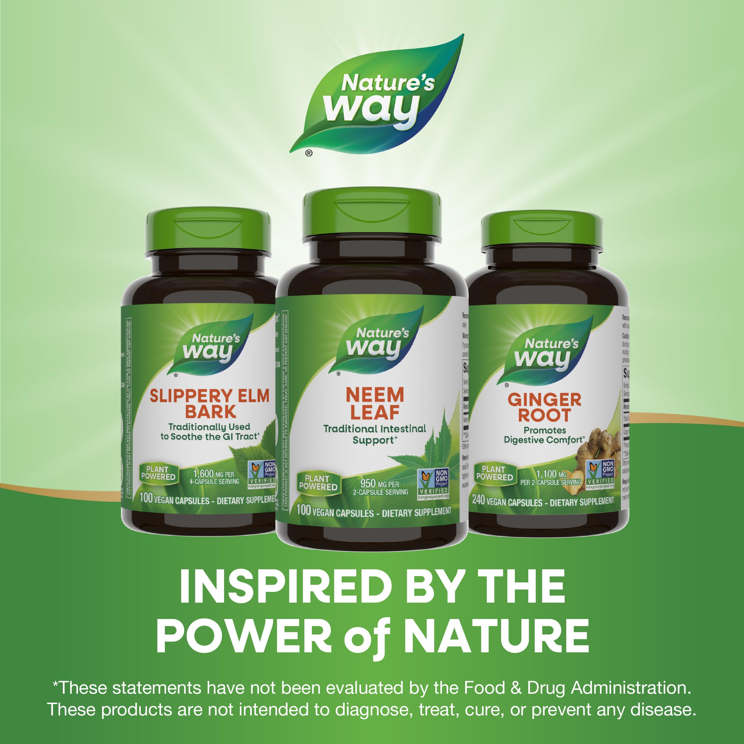 Foto 8 pulgar | Suplemento Nature's Way Herbal Neem Leaf 100 Cápsulas - Venta Internacional.
