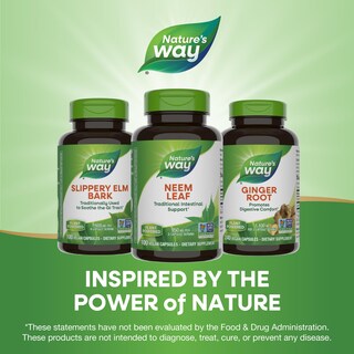 Foto 7 | Suplemento Nature's Way Herbal Neem Leaf 100 Cápsulas - Venta Internacional.