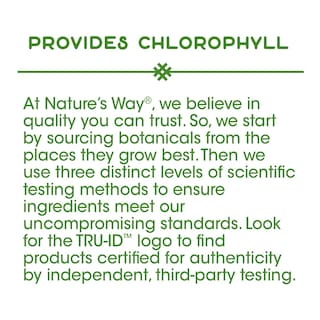 Foto 3 | Suplemento Nature's Way Premium Herbal Perejil Leaf 100 Cápsulas - Venta Internacional.