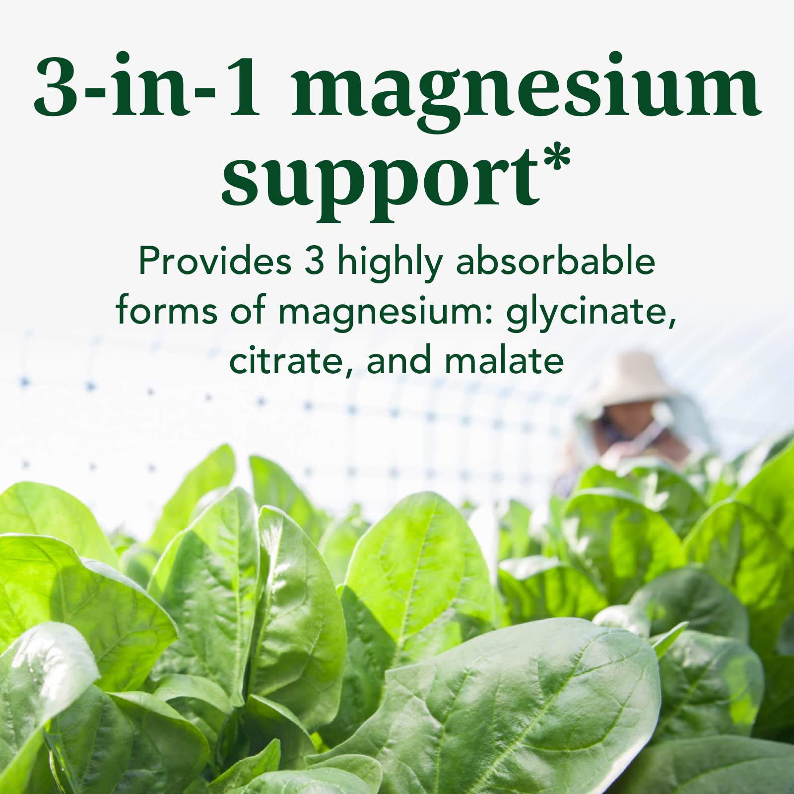 Foto 5 pulgar | Suplemento Mineral Innate Response Formulas Magnesio 300 Mg - Venta Internacional.